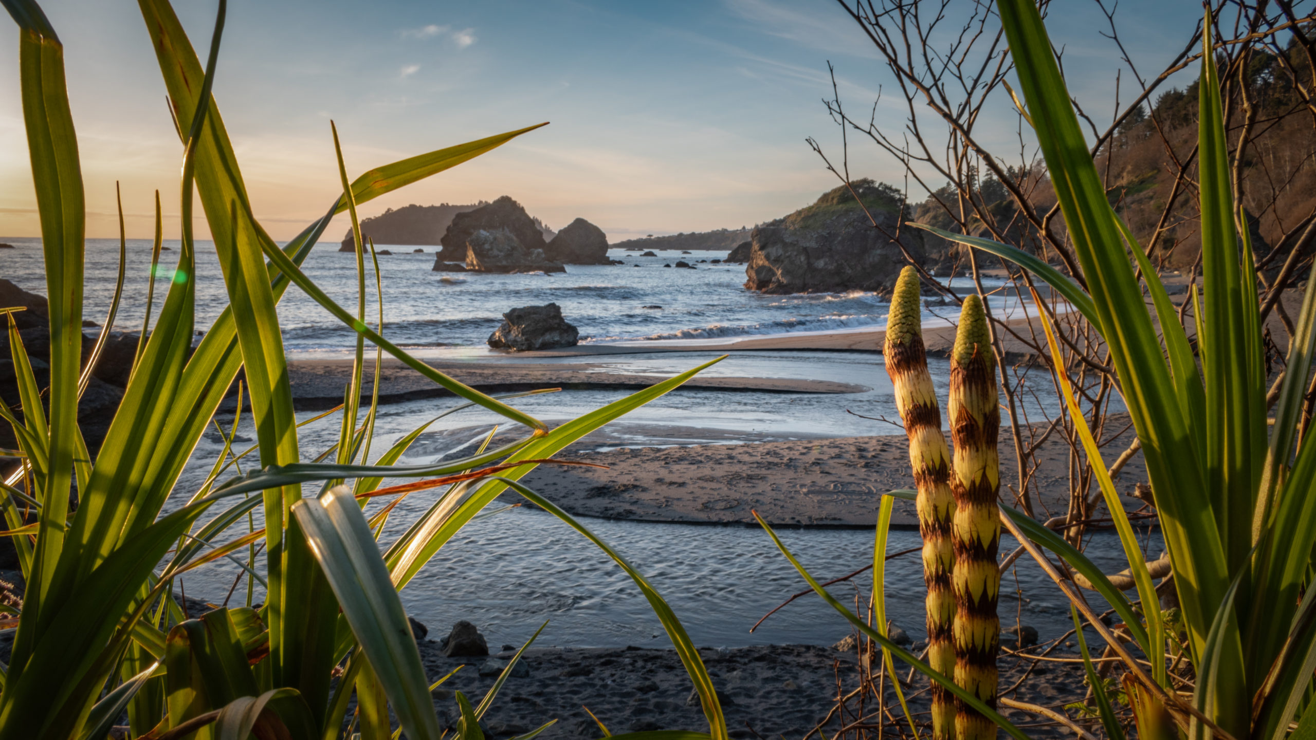 McKinleyville At Home in Humboldt